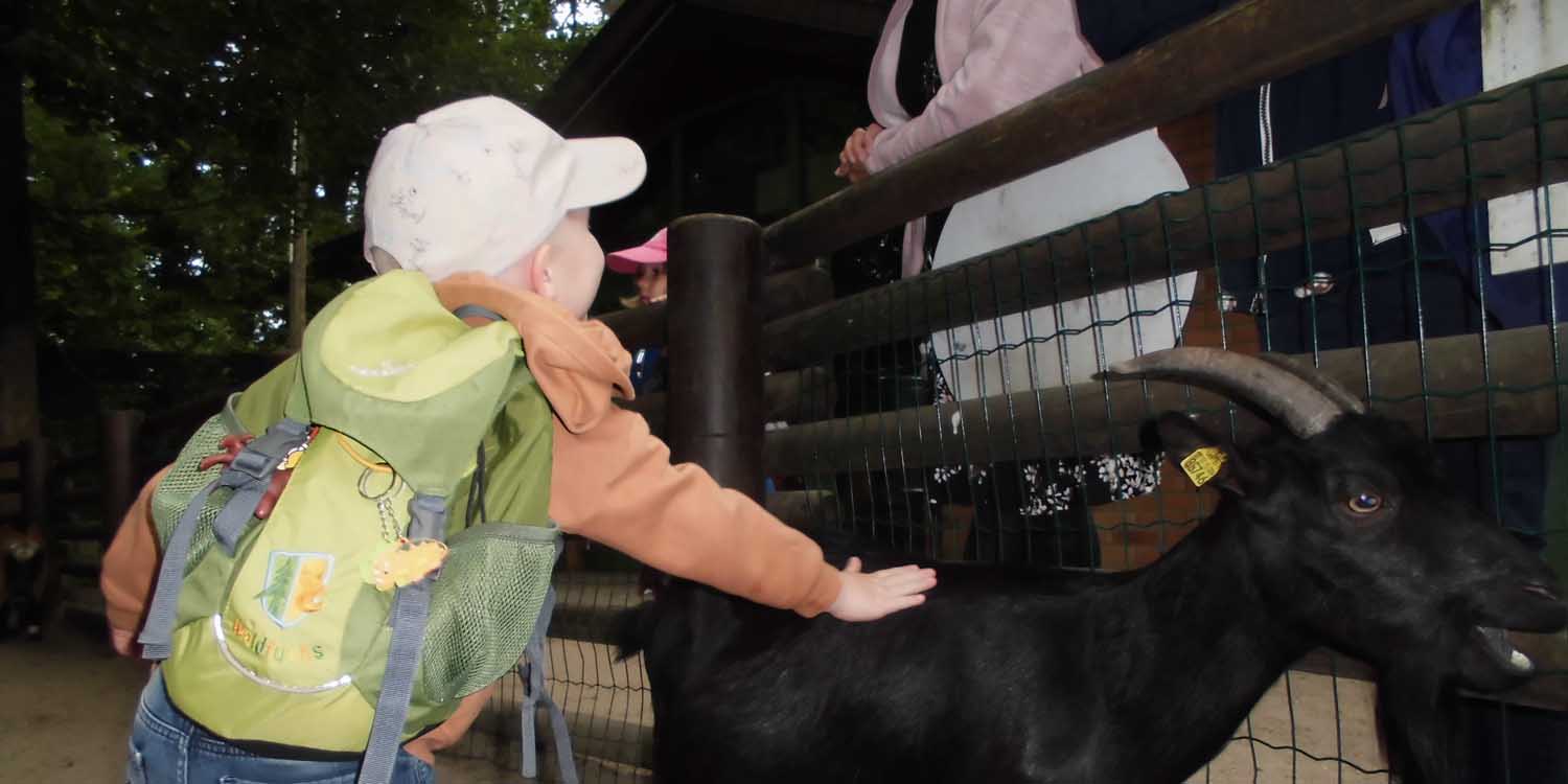 Ein Kind streichelt eine schwarze Ziege.