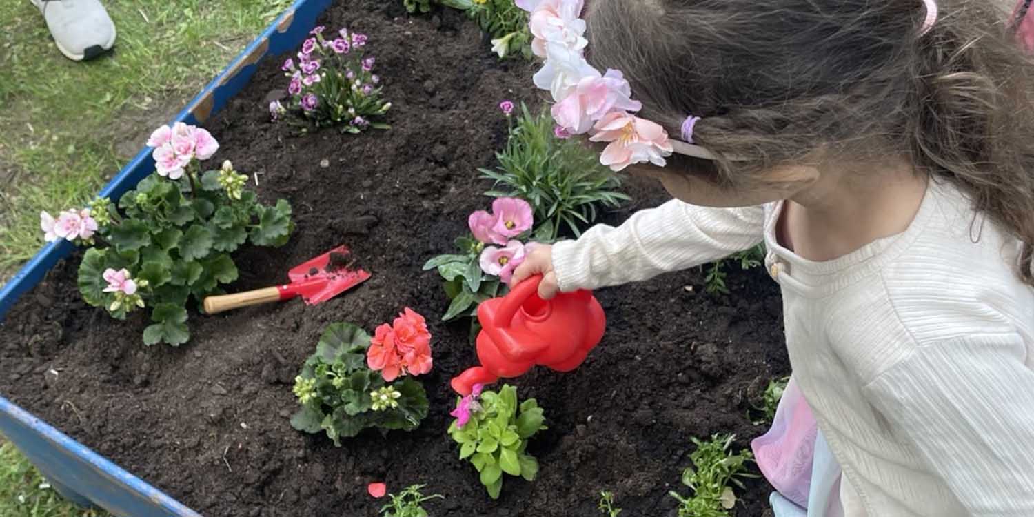 Blumenbeet: Ein Mädchen gießt mit einer roten Gießkanne kleine Pflänzchen in einem Beet. Zwischen den Blumen liegt eine kleine rote Schippe.