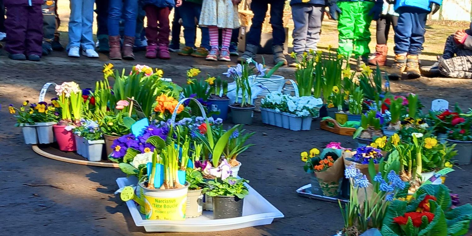 Viele bunte Töpfe mit Frühlingsblühern stehen auf dem Boden, um sie herum die Kinder aus der Kita.