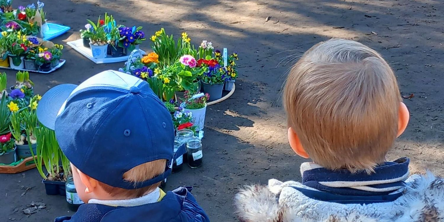 Zwei Jungen sehen auf bunte Blumentöpfe mit Frühlingsblumen.